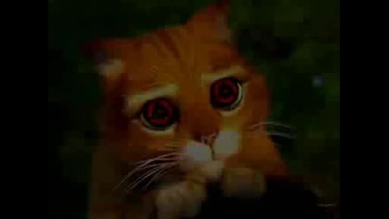 mangekyu sharingan cat version