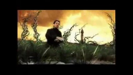 Harry Potter In The End