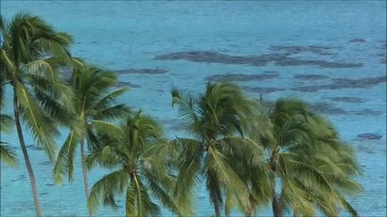 Jens Buchert - Lagoon