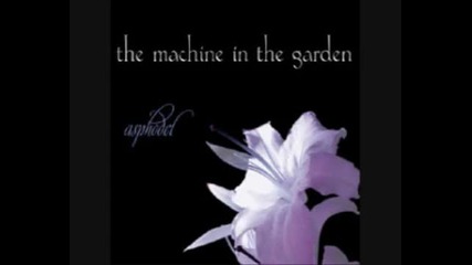 The Machine in the Garden - Photographic