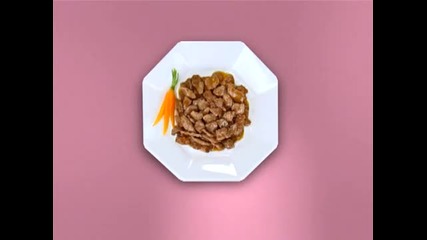 cesar® Tv commercial_ i promise to be your fuzzy slippers