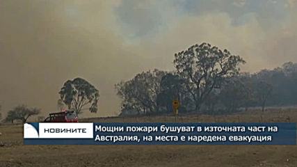 Мощни пожари бушуват в източната част на Австралия, на места е наредена евакуация