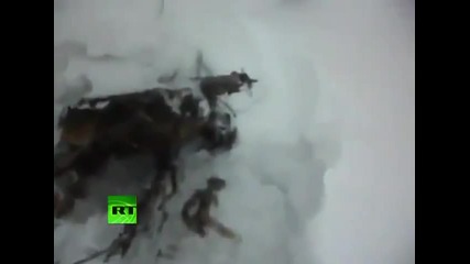 Труп на извънземно беше намерен в Сибир