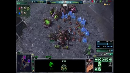 Starcraft from Korea Zvz [game 2]