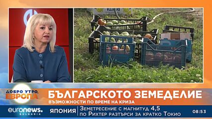 Анастасия Мозер: Спиралата от избори трябва да спре