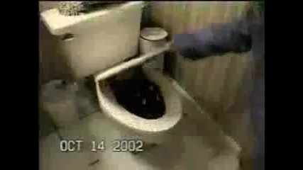 Най - забавното видео 