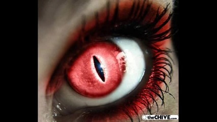 Total Eclipse - Toxic Caterpillar (blue Room 95) 