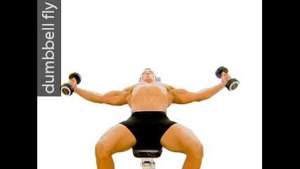 Chest Beginner