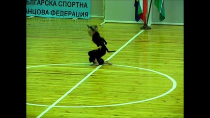 дива котка гери