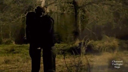 Stefan & Elena