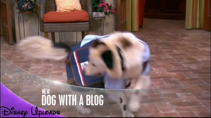 Куче с Блог Hoв епизод - Реклама