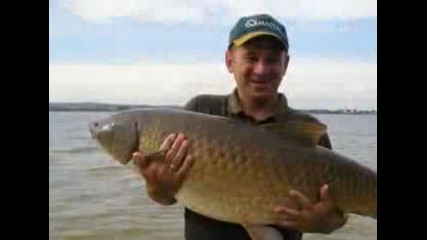 amur 21 kg