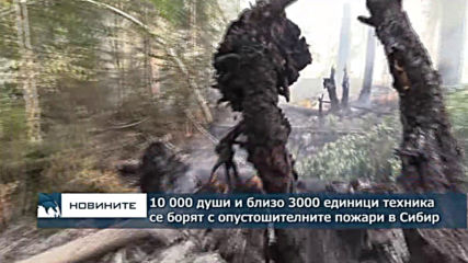 Най-малко 10 000 души са се включили в гасенето на пожарите в Сибир