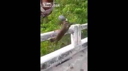 Рибари със много странен улов