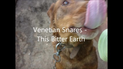 Venetian Snares - This Bitter Earth