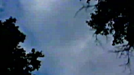 Екстра Нина - Прости ни (1996)