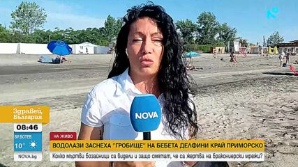 Водолази заснеха „гробище” на бебета делфини край Приморско