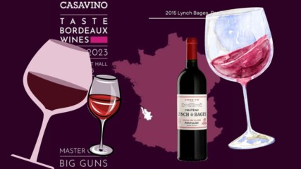 Taste Bordeaux Wines - дегустация! 🍷
