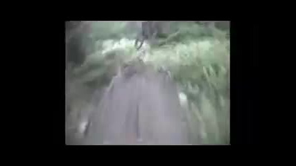 Crazy Downhill Run 