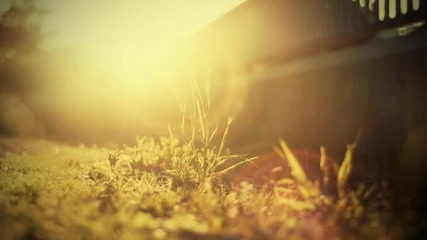 Darren Fisher - Highway Seven