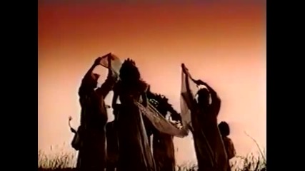 Viki 1995 - Svadbe nece biti