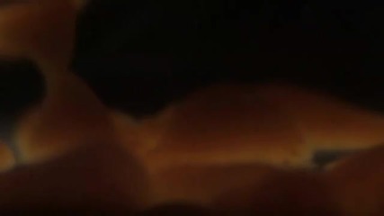 Alice In Chains - Acid Bubble (official)