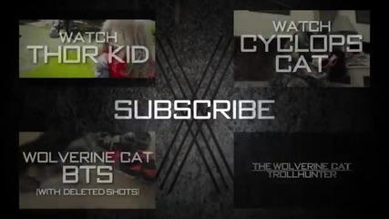 X-men Котката