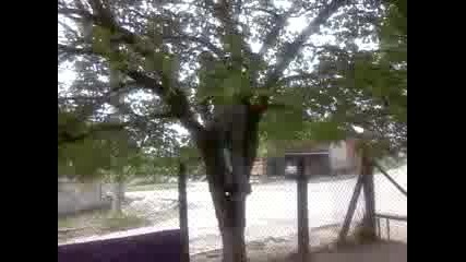 li4o sexa i sakineto