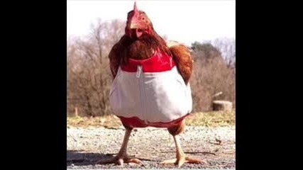 Kaхняджийски кючек