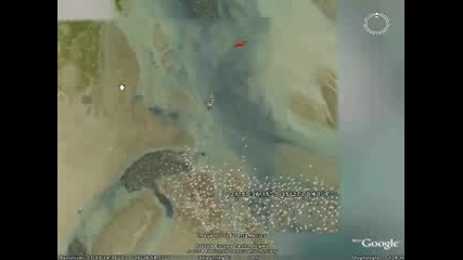 Животни В Google Earth