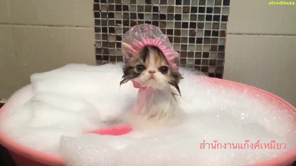 Къпят котенце в легенче!!!