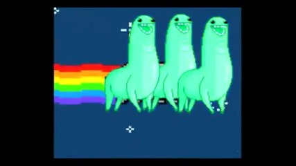 Nyan Llamas!!!