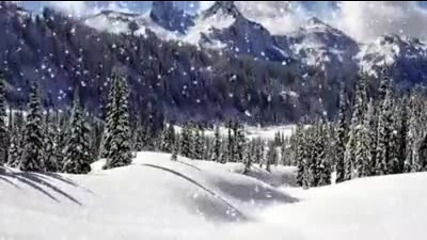 Честита Нова 2011 Година, Приятели !!!
