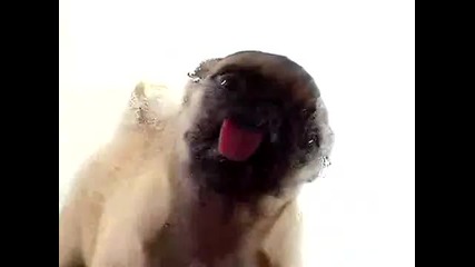 Екрана ви е мръсен? Почистете го ! :p Free Screen Cleaner !!!