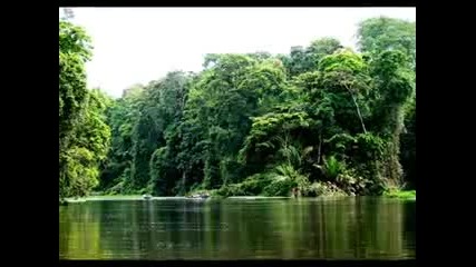 afrika the animals 