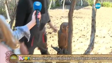 "На кафе" показва колекция от огромни дървени скулптури в село Овчарци (18.04.2017)