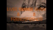 Oliver Shanti Friends - Chief White Bears Trance Dance