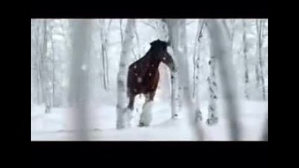 Най - Добрите 10 Забавни Реклами