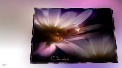 La Primavera- Theme from A Summer Place