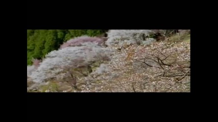 Patchwork-little Wave