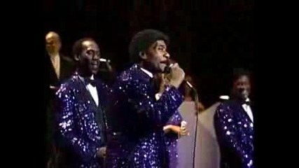 The Platters - Great Pretender