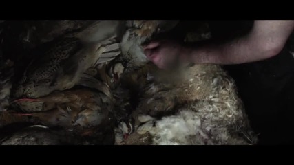 Hd Official Video Benjamin Francis Leftwich - Pictures
