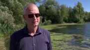 Отровни водорасли доведоха до затваряне на езеро в Германия (ВИДЕО)