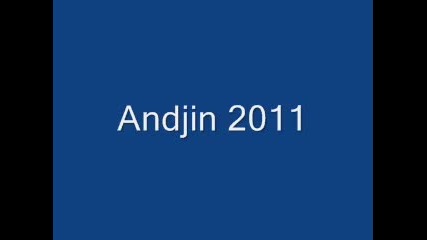 Andjin 2011