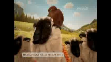 Coca - Cola Zero Urso 