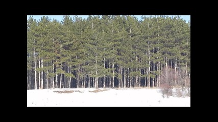 Зима