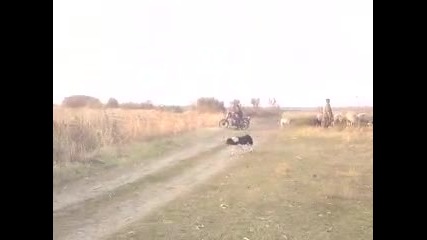 Mz 251 - selo Mihailovo