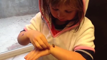 Момиченце си играе с пчела
