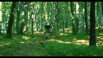We Own The Hills (downhill & freeride) 