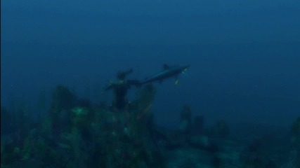 Tomb Raider Underworld Marine Trailer